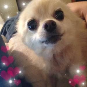 Meet your Posher, Terin